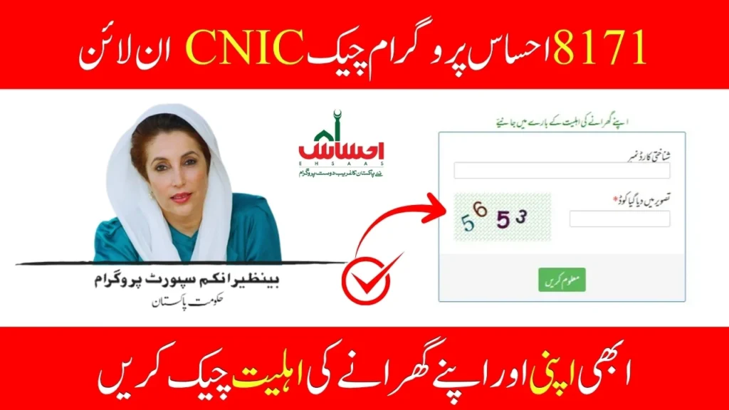 8171 Ehsaas Program CNIC Check Online - Complete Eligibility & Payment Guide