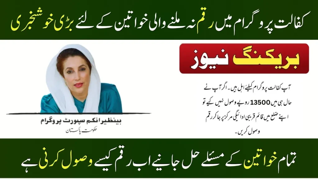 BISP 8171 Missing Payment Quick Solutions - Complete Guide 2025