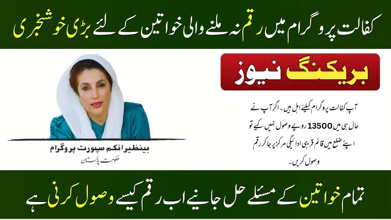 BISP 8171 Missing Payment Quick Solutions – Complete Guide 2025