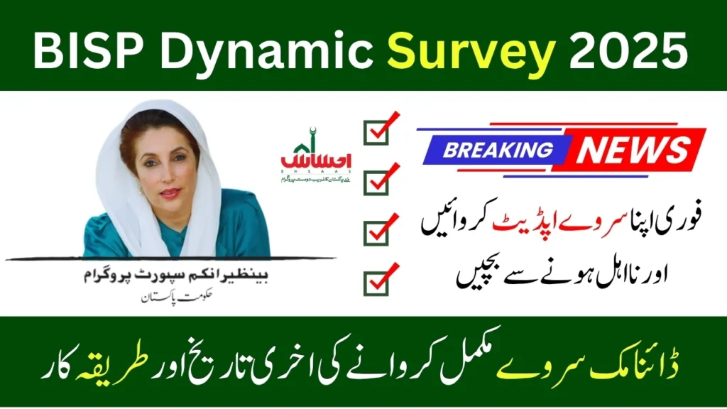 BISP Dynamic Survey 2025 - Complete Method To Update Family Information