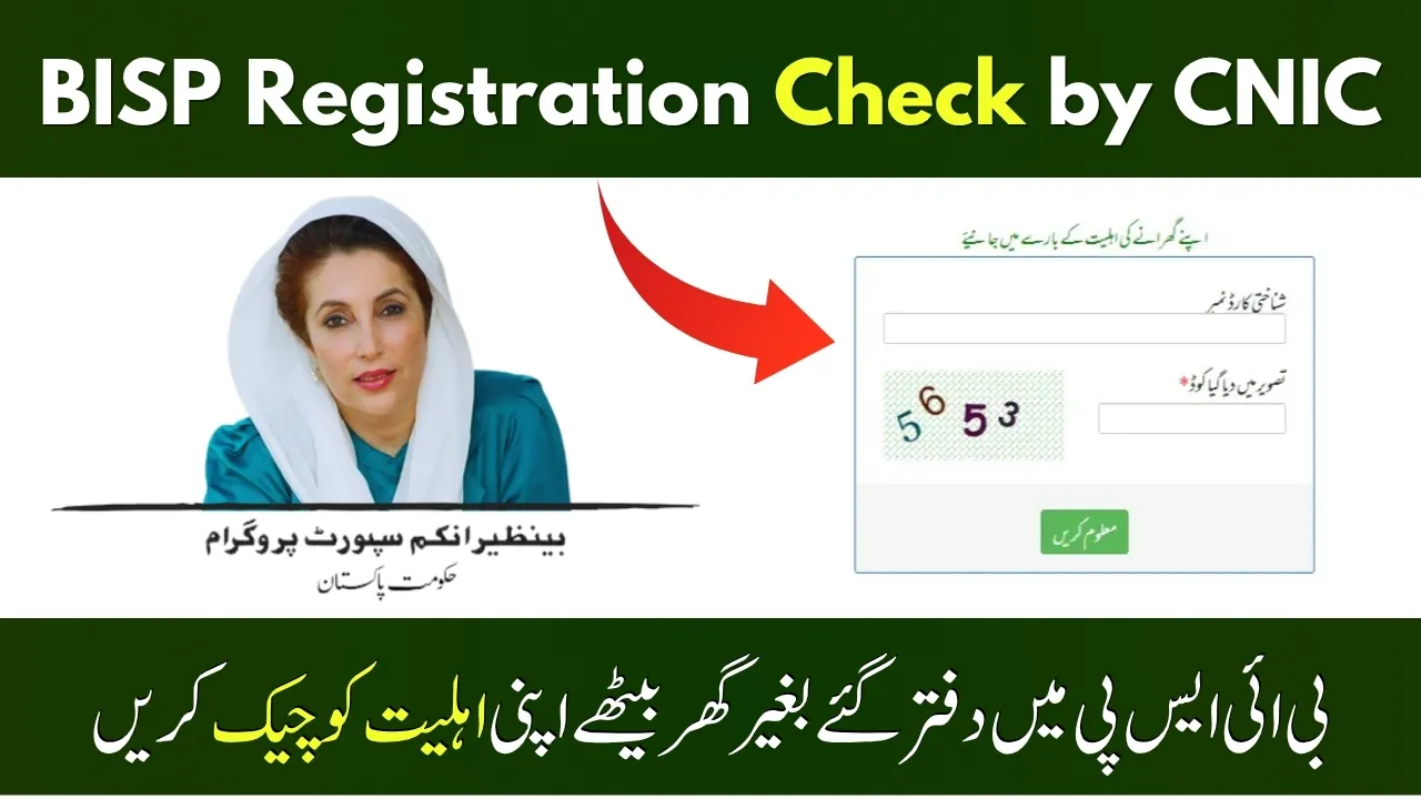 BISP Registration Check 2025 via 8171 Web Portal and SMS