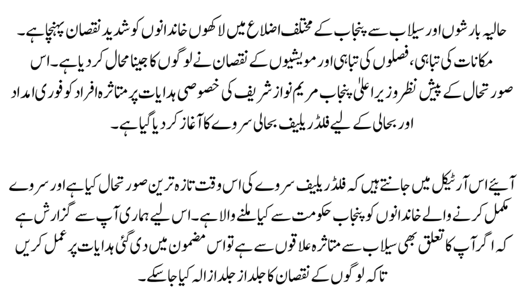 Punjab Flood Relief Survey 2025