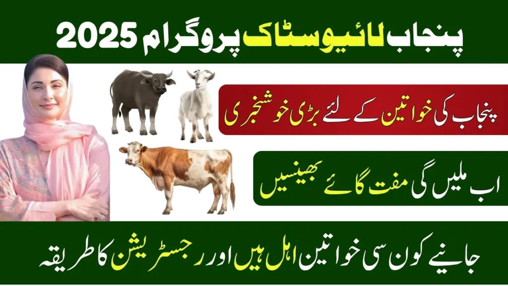 Punjab Govt Launches Free Livestock Program 2025 for Rural Women